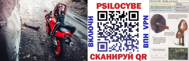 Купить закладки  Катайск  Галлюциногенные грибы мухоморы 